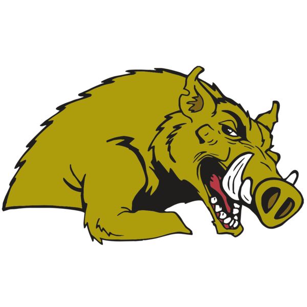 AR RAZORBACK 23 RC Thumbnail